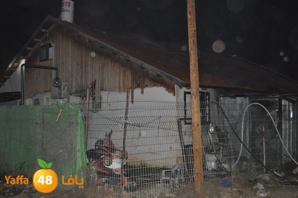 ramlainfejar315 (15).JPG